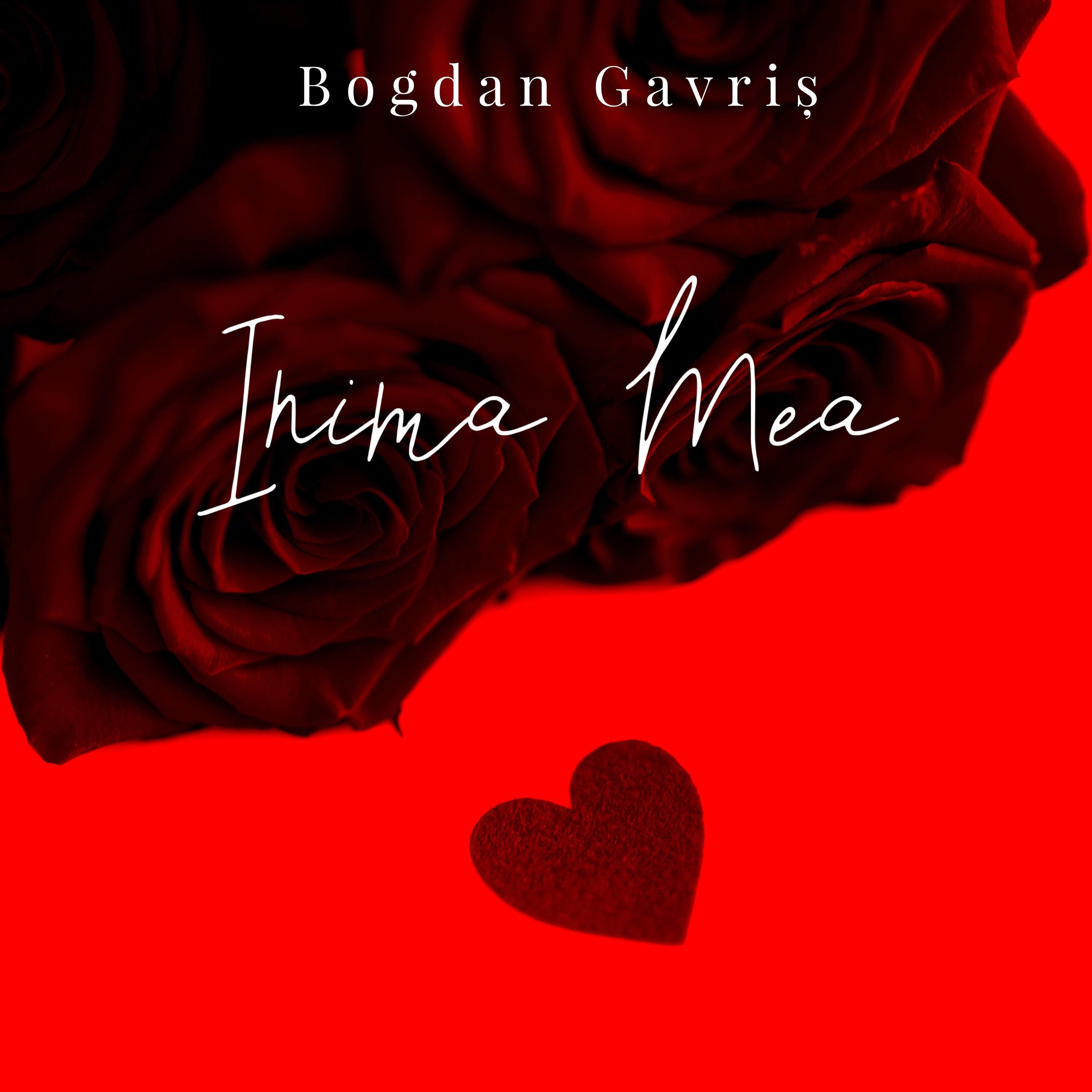 Bogdan Gavris - Nasa de Petrecere