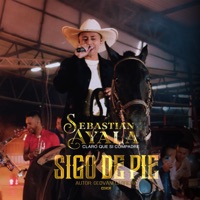 Sigo de Pie - Single - Sebastián Ayala
