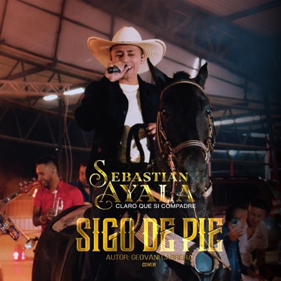 Sigo de Pie - Single