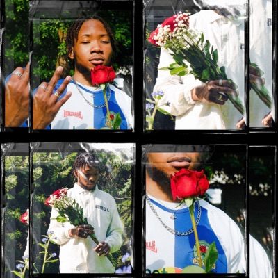Old Roses - Single