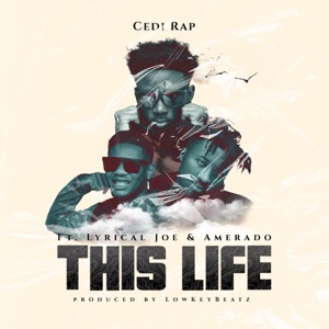 This Life (feat. Amerado & Lyrical Joe)