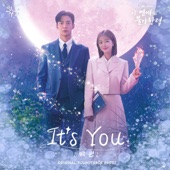 It's You (Inst.) artwork