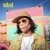 Wawa - Single