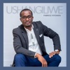 Ushangiliwe - Single