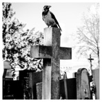 On Grave - Single