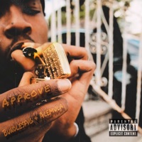 Approve (feat. Bundles FVG) - Single - AceMula