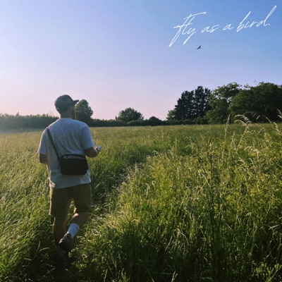 Fly as a Bird - Single