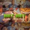 NOKY NOKY (feat. Tivi Gunz) - GrilloMusic lyrics
