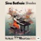 Shades (Mikhail Catan Remix) - Sina Bathaie & CamelVIP lyrics
