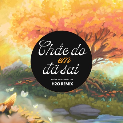 Chắc Do Em Đã Sai (Remix EDM) [feat. TVk] - Single