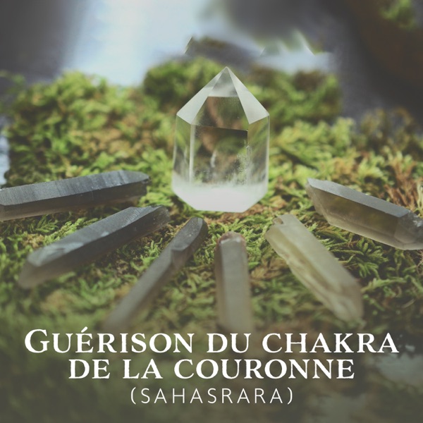 Guérison du chakra de la couronne (Sahasrara): Guérison du chakra de la gorge (Vishuddha), Activation de la glande pinéale, Enregistrement de toutes les fréquences de guérison