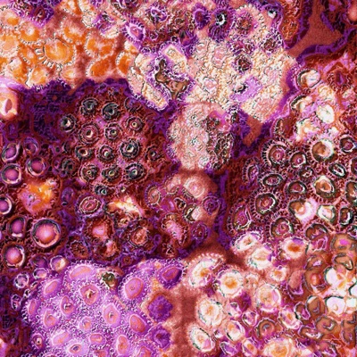 Banyan Tree (Gaea x Blk Pool) (feat. Blk Pool) - Single