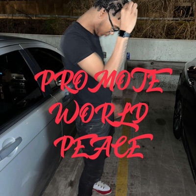 Promote World Peace - Single