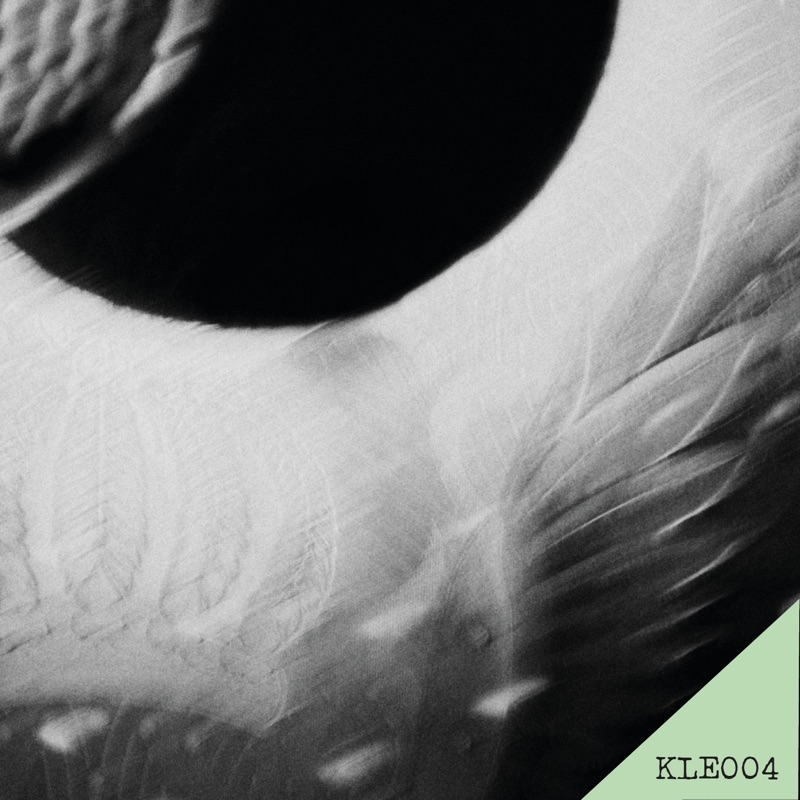 Album art for Darkness
