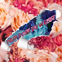 Nur dass Du weißt - Single - Bendix