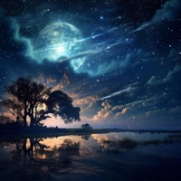 D Company (feat. VenomCandy) - Single - Paff