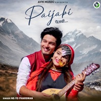 Paijabi - Single - Ne-Yo Pharswan