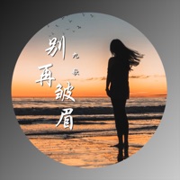别再皱眉 - Single - 九歌