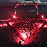 Ты нежная - Single - T-killah