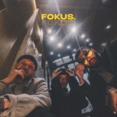 Fokus artwork