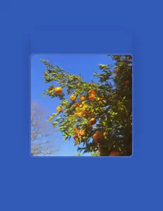 Luister naar Arcade, bekijk muziekvideo's, lees de bio, bekijk de tourdata, en meer!