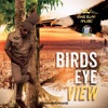 Bird Eye View - Single