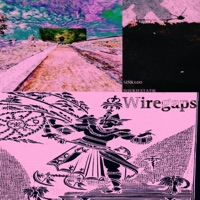 Wiregaps - Single - Sink600