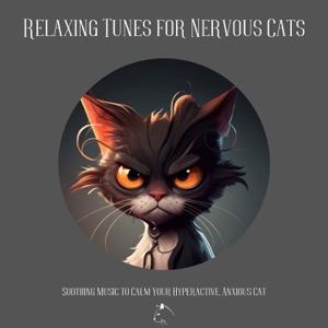 Relaxing Tunes for Nervous Cats