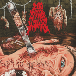 Slave to the Scalpel - 200 Stab Wounds Cover Art