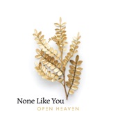 None Like You (Live) artwork