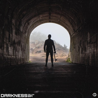 Darkness (feat. BIM) - Single