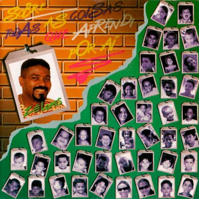 Sobre Todas as Coisas Que Aprendi por Aí