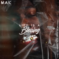 Life Is A Blessing - Single - MAK