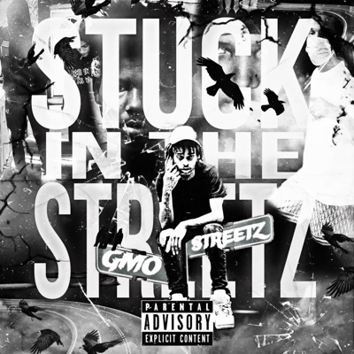 Stuck In the Streetz