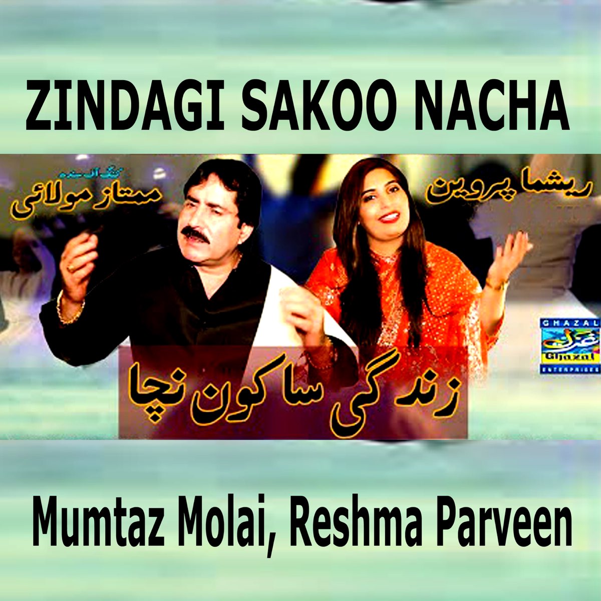 Zindagi Sakoo Nacha Single Album by Mumtaz Molai Reshma
