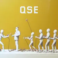 QSE — Bryan Manuel & Liavo