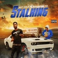 Stalking (feat. Bossmane Yo) - Single - Ant Cole
