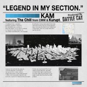 Legend In My Section (feat. Kurupt & Tha Chill) artwork
