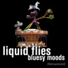 Liquid Flies