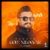 Gole Niloofar - Single