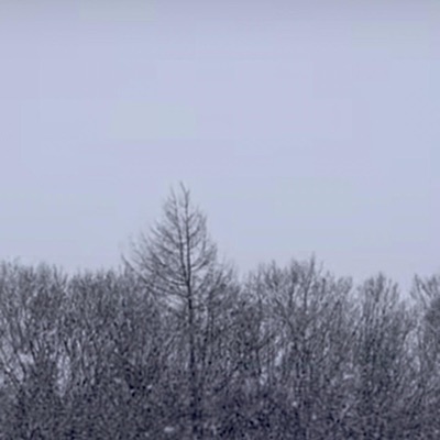 Hibernation - Single