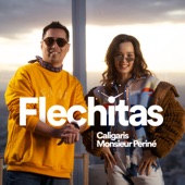 Flechitas artwork