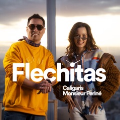 Flechitas - Single