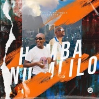 Hamba No'Mlilo (feat. Mr Thela) - Single - Dacardo