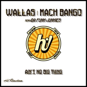 Ain't No Big Thing - Single