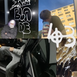 Raus (feat. Esteban46) strausssito