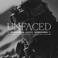 Into the Flood EP - ANSBRO