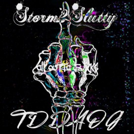 All Outta F***s (feat. TD Da OG Aka Tdog) [Remix] Storm2Slutty