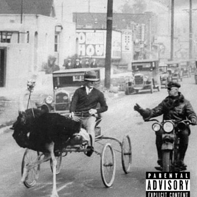 Producto no conforme - Single