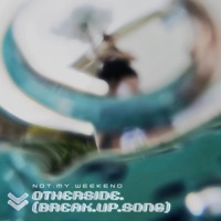 Otherside.(Break.Up.Song) - Single - Not My Weekend